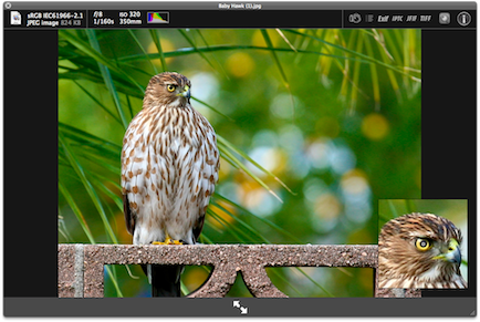 The first Quick Look Plugin geared specifically for photographers.